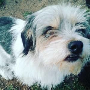 Meet your Posher, Mason